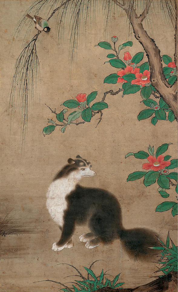 Jakōneko (麝香猫)